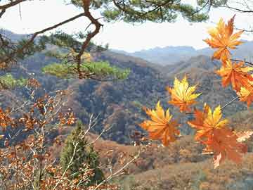 今日A股共65只个股发生大宗交易，西部证券、南凌科技、澜起科技成交额居前|界面新闻 · 快讯